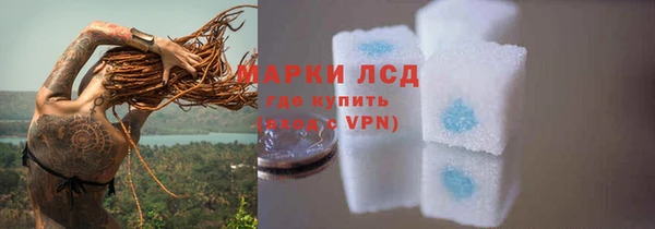 дмт Сатка